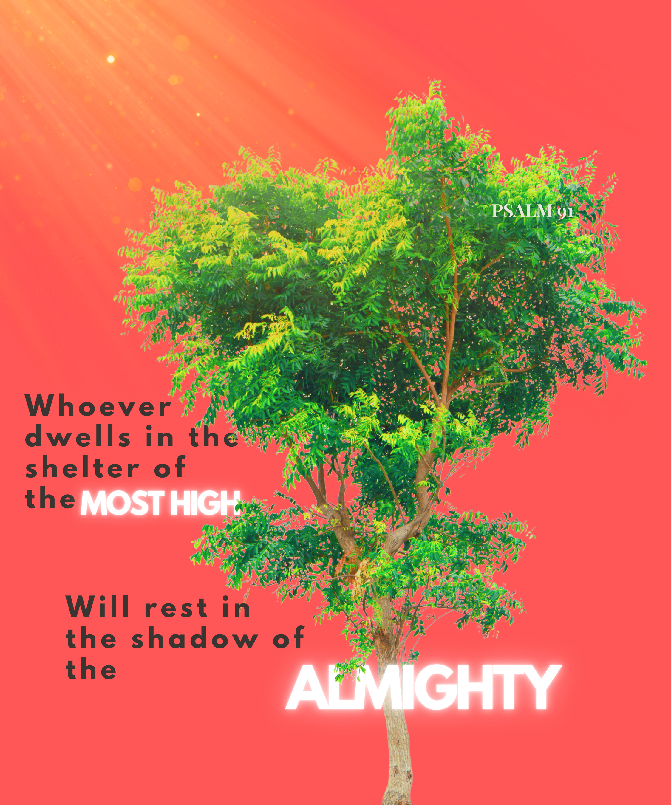 Covered: A Word on Letting Go, Stepping Up, and Psalm 91